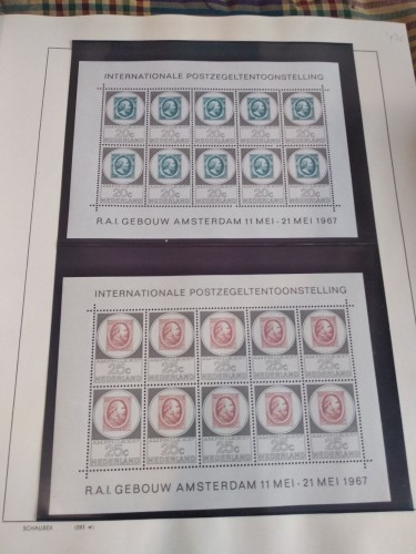 LOTE 288G.jpg