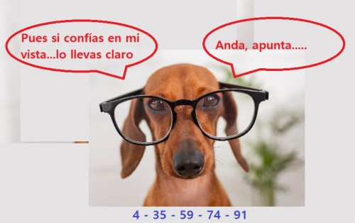Buena vista.jpg