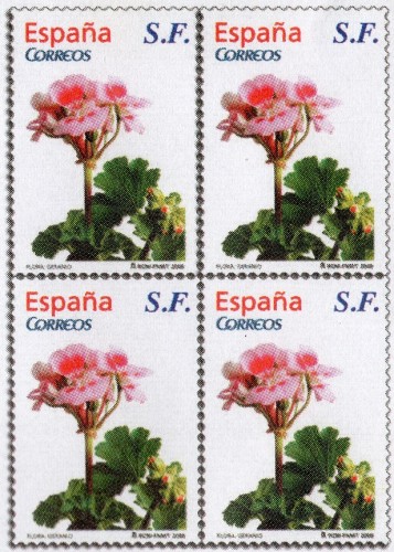 2009-4.- Detalle.jpg