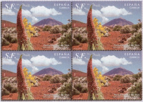 2010-4.- Detalle.jpg