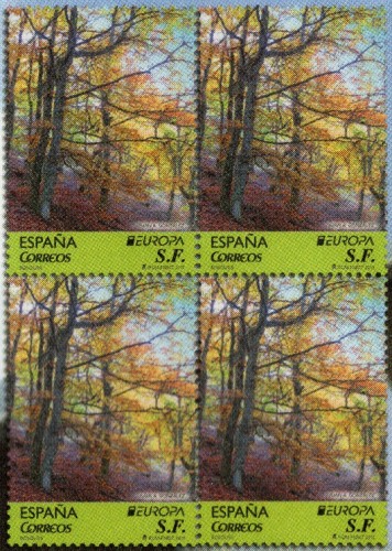 2011-2.- Detalle.jpg