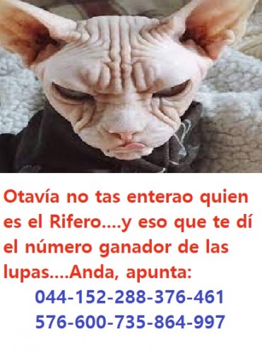 otavia.jpg