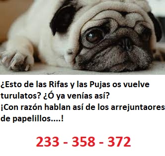 arrejuntaores.jpg