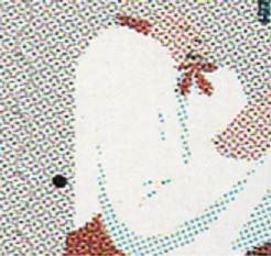 Detalle.jpg