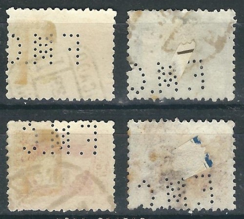 F.M.C.-1.jpg