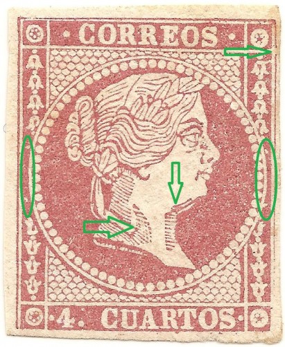 tipo V.jpg