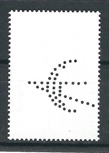 SFYNA-1.jpg