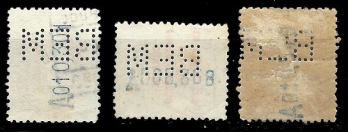 BEM-1.jpg