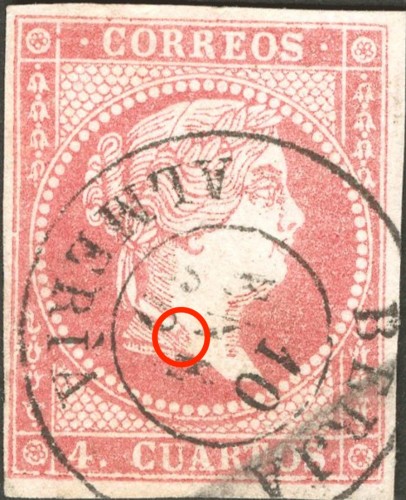 48 d variante.jpg