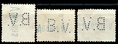 B.V.-3.jpg