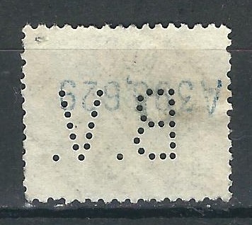B.V.-4.jpg
