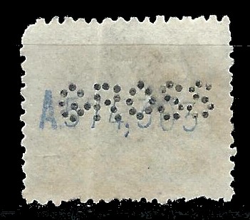 GROSS-1.jpg