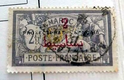 Z-BME-1-1.jpg