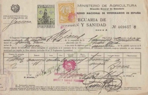 documento veterinario 2.jpg