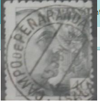 campo.png