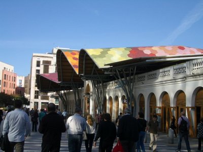 IMGP7005.JPG