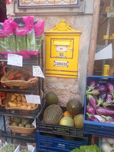 soller 2.jpg