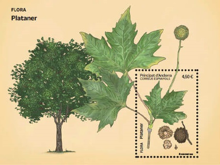 _0003_BOCETO Plataner_B1M0.jpg