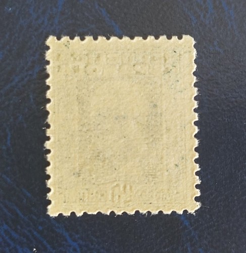 369679411_3648499285380948_374374113072786085_n.jpg
