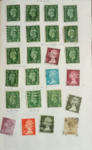 a lote 8.jpg