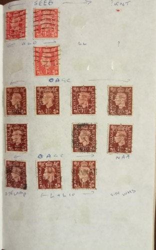 a lote 8-G.jpg