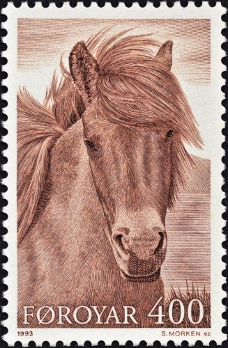 Caballo Islas Feroe.jpg