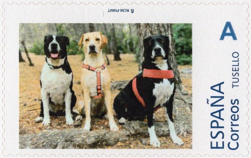 Fiona, Kora, Khaleesi.jpg