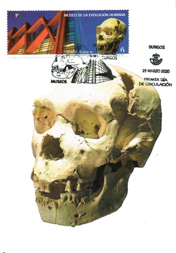 craneo burgos.jpg
