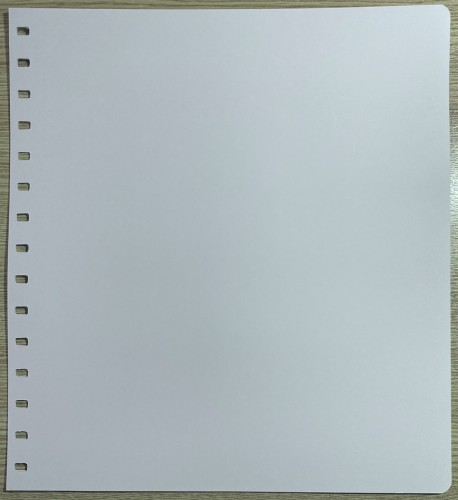 Hojas SAFI 334003.JPG