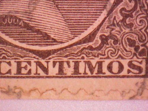 Chiché inferior sin marcas.jpg