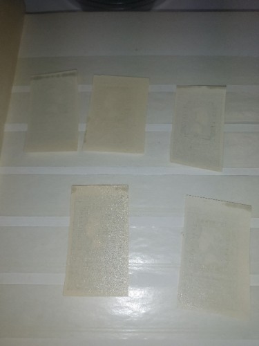 20240914_182410.jpg