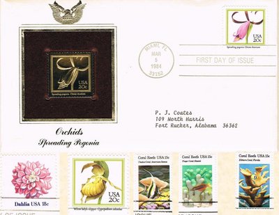 lote 270.jpg