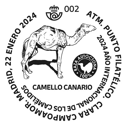 CAMELLO CANARIO 1.jpeg