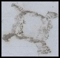 107-1-ARAÑA 1850 (2).jpg