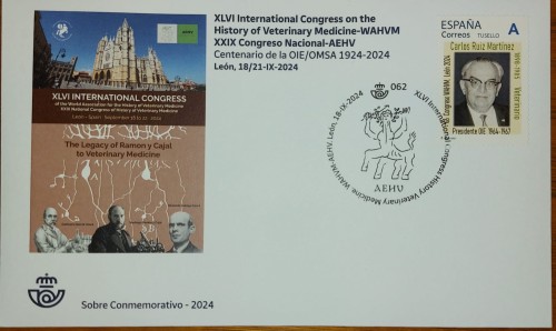 1728637319520.jpg