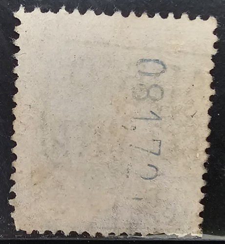 lote 206a.jpg