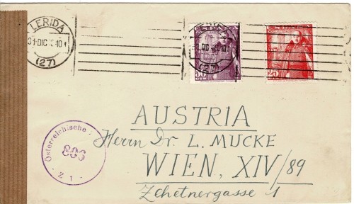 lote 195.jpg