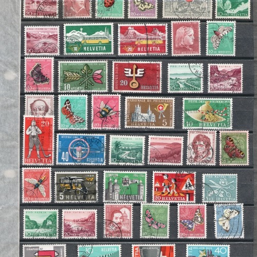lote 306h-500x500.jpg