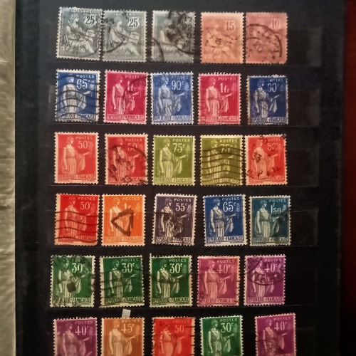 lote 29-500x500.jpg