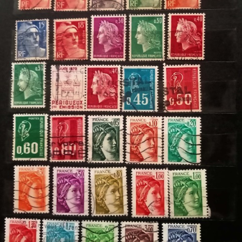 lote 29f-500x500.jpg