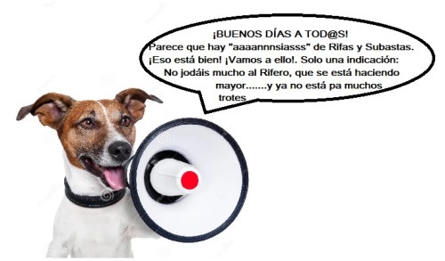 Sin título.jpg