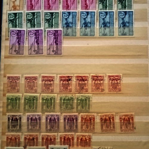 lote 30g - copia-500x500.jpg