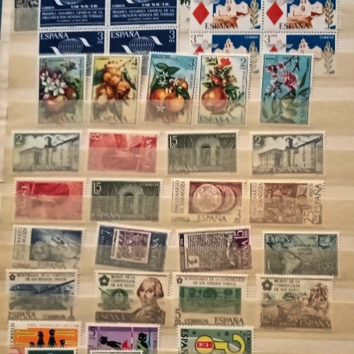 lote 30l - copia-500x500.jpg