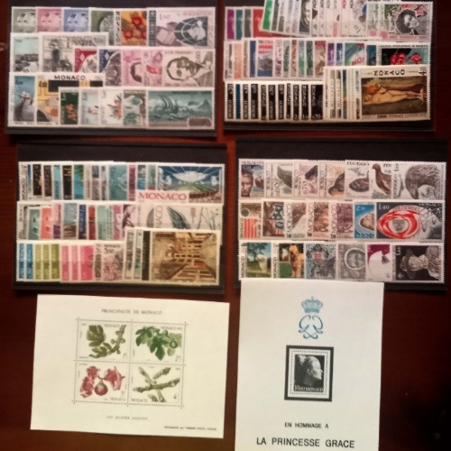 lote 179-500x500.jpg