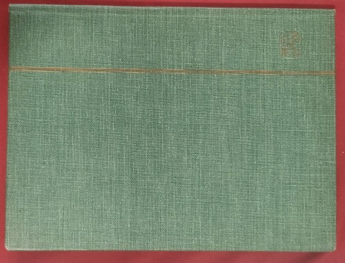 lote 405c.jpg
