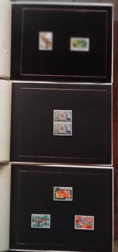 lote 218a.jpg
