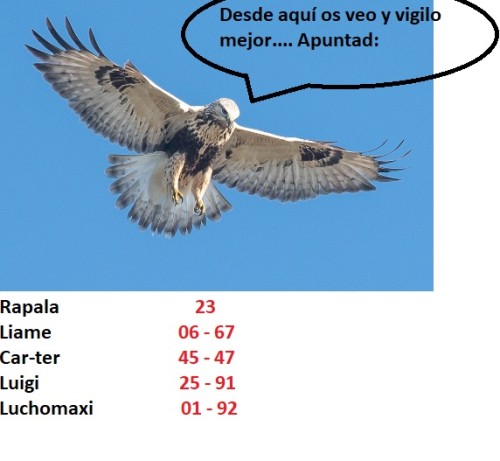 Respuesta 13.jpg
