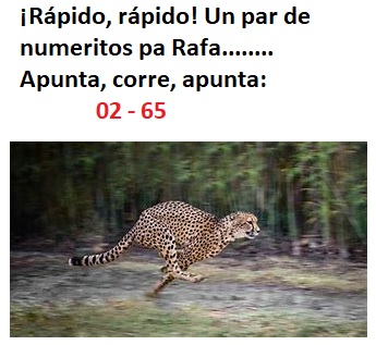 Respuesta 14.jpg