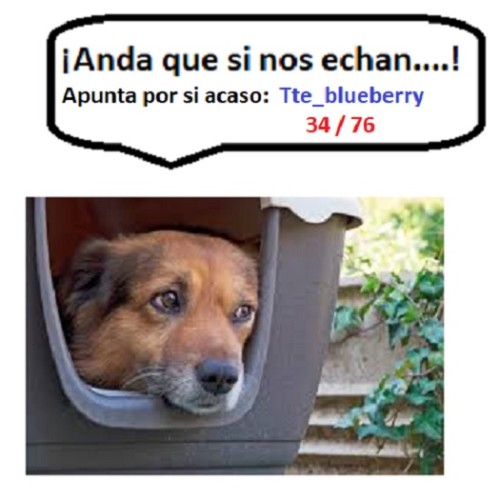 Respuesta 15.jpg