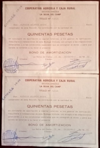 IMG20241119174304.jpg